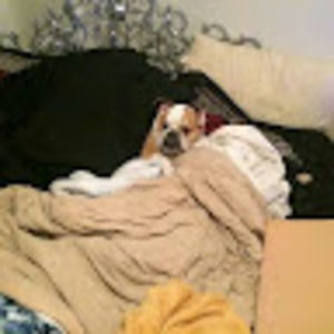 Meet your Posher, Sam